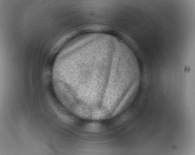 X0000113630119200910091605