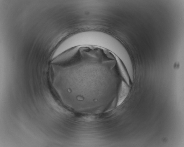 X0000113630120200910091605