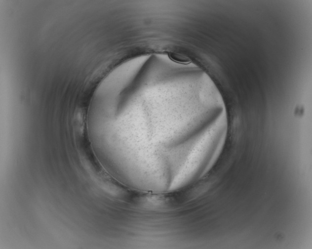 X0000113630121200910091605