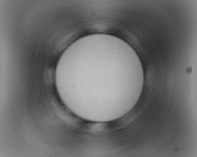 X0000113630122200910091605