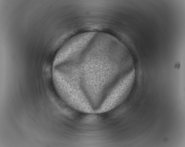 X0000113630123200910091605