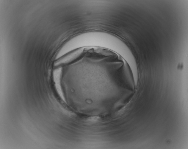 X0000113630124200910091604