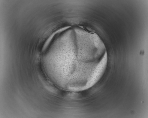 X0000113630125200910091604