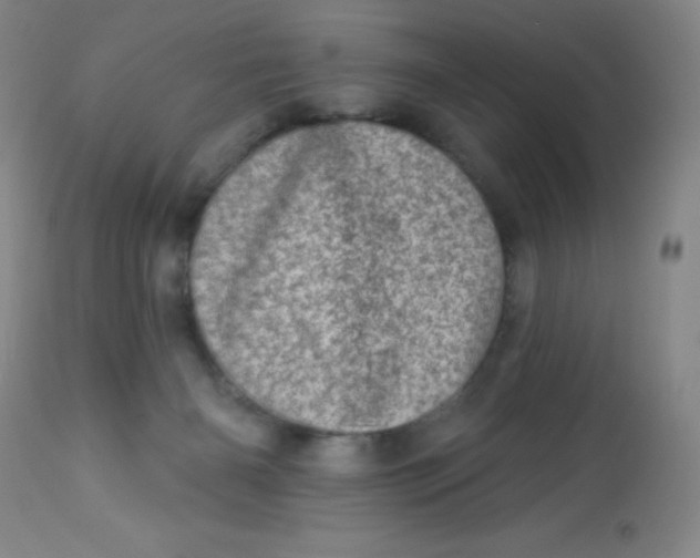 X0000113630126200910091604