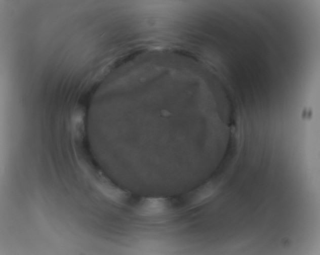 X0000113630127200910091604