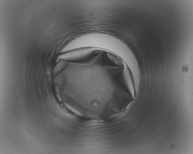 X0000113630128200910091604