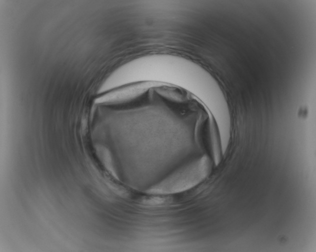 X0000113630129200910091604