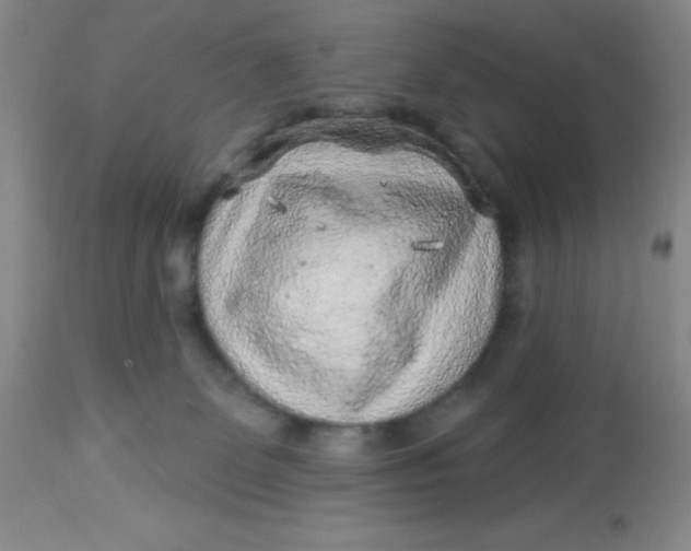 X0000113630131200910091604