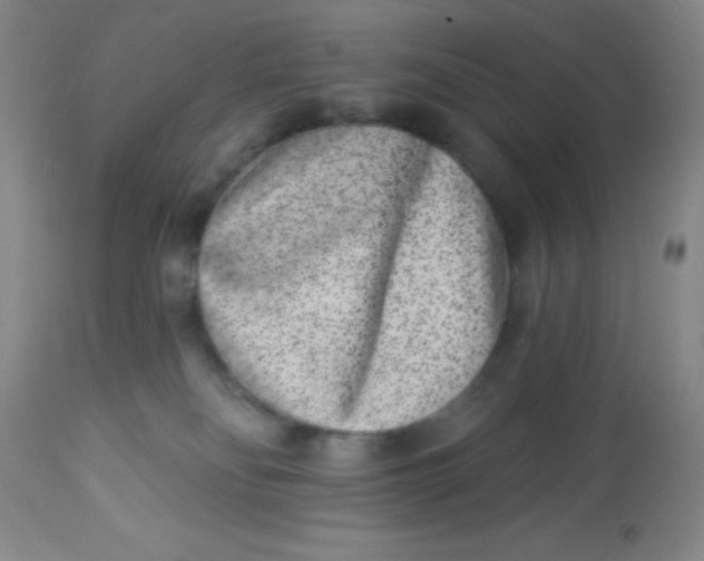 X0000113630134200910091604