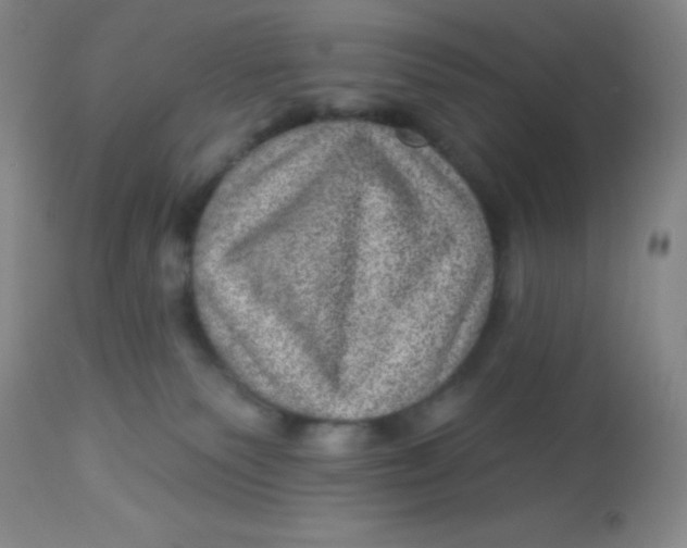 X0000113630135200910091604