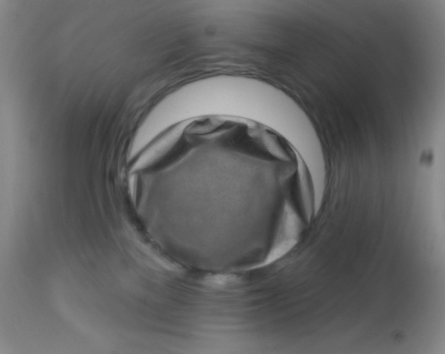 X0000113630137200910091604