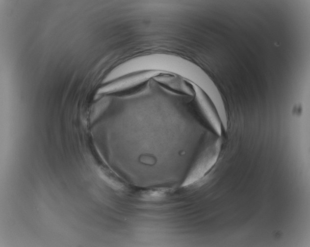 X0000113630140200910091604