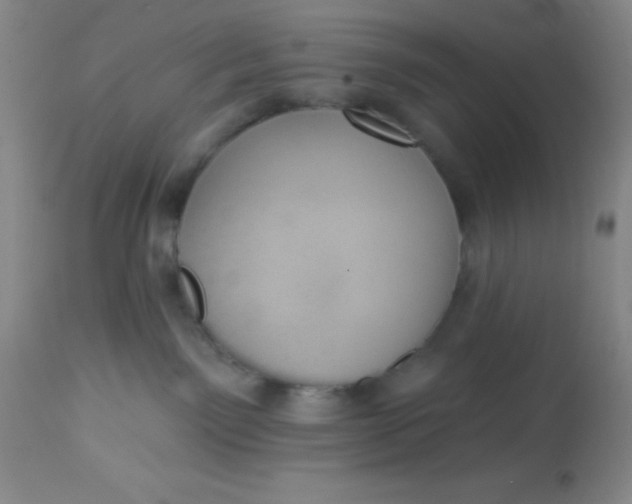 X0000113630141200910091604