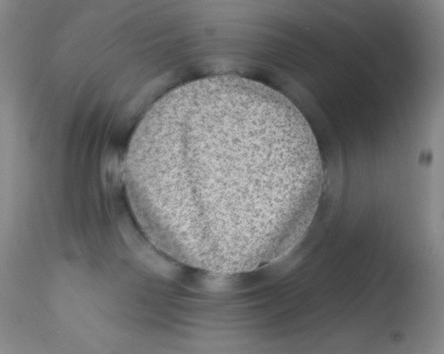 X0000113630142200910091604