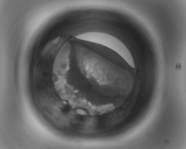 X0000113630143200910091604