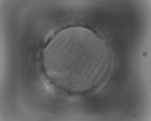 X0000113630144200910091604