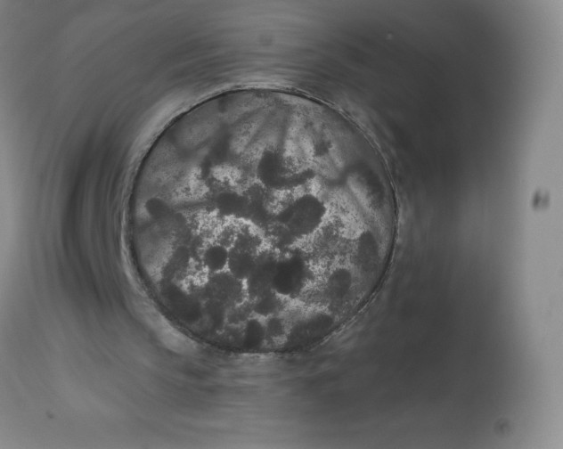 X0000113630145200910091603