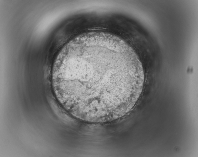 X0000113630146200910091603