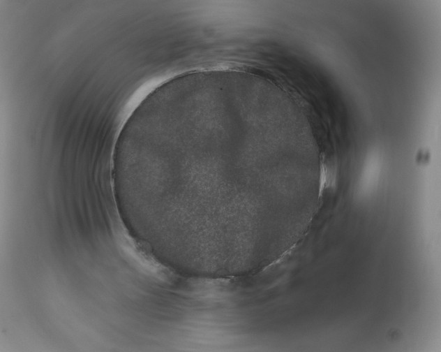 X0000113630147200910091603