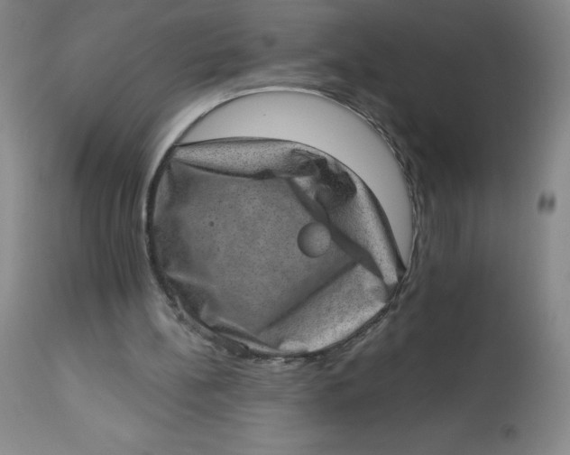 X0000113630148200910091604