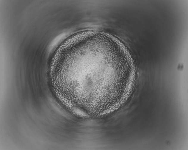 X0000113630149200910091604