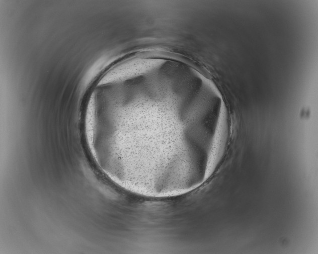 X0000113630150200910091604