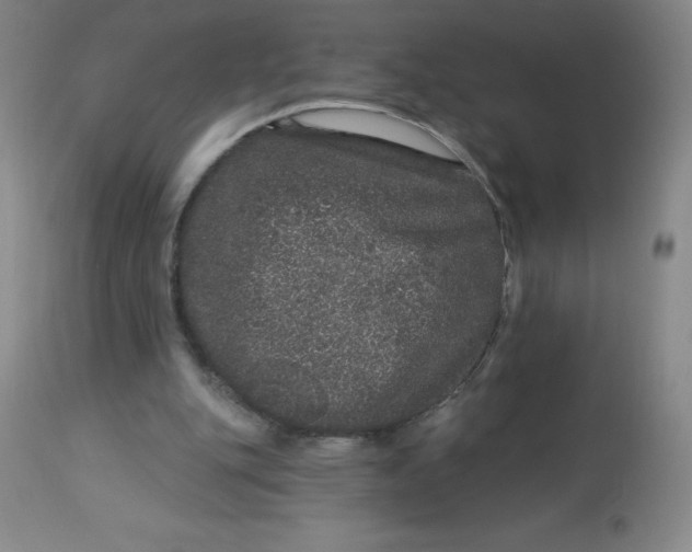 X0000113630151200910091604