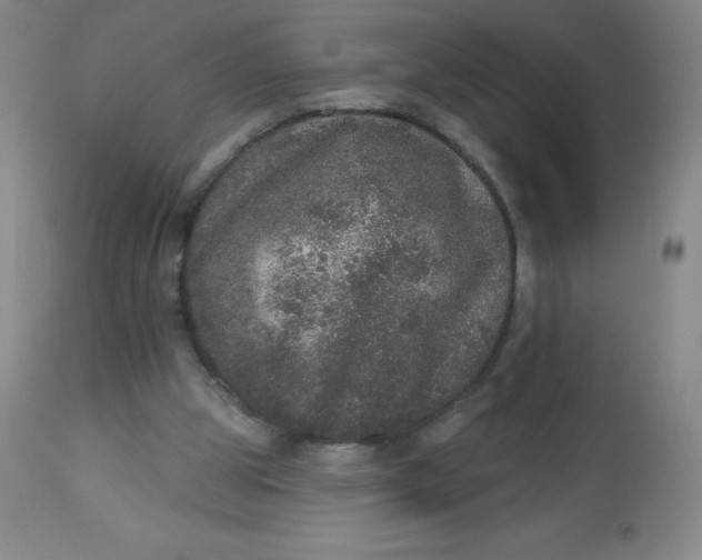 X0000113630153200910091604