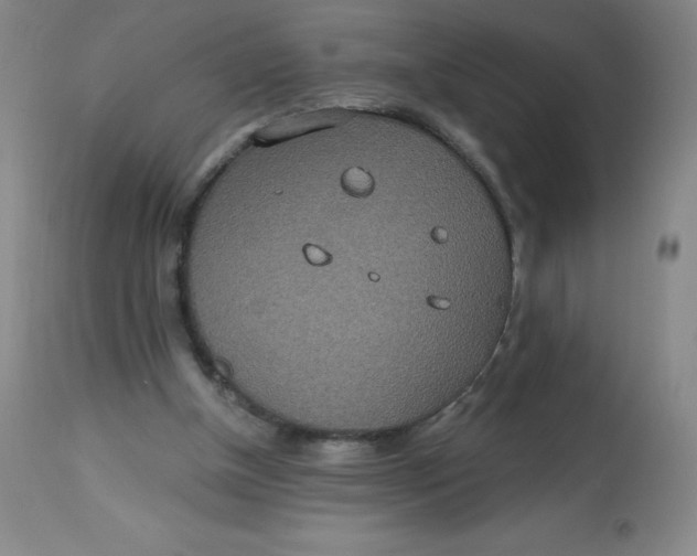 X0000113630154200910091604