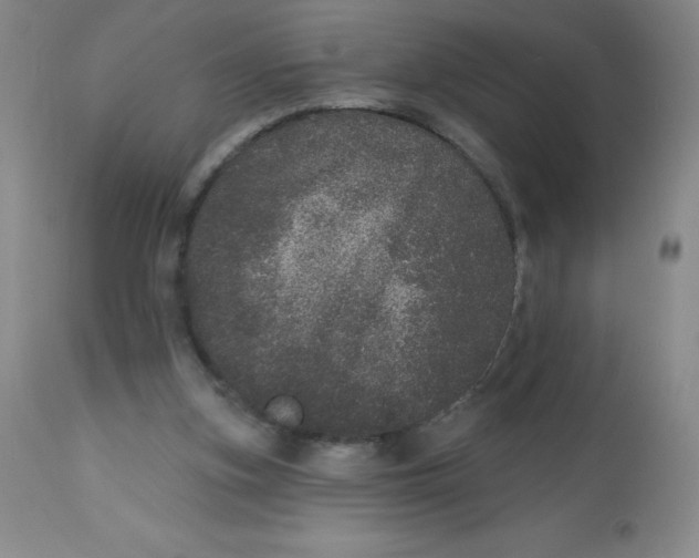 X0000113630155200910091604