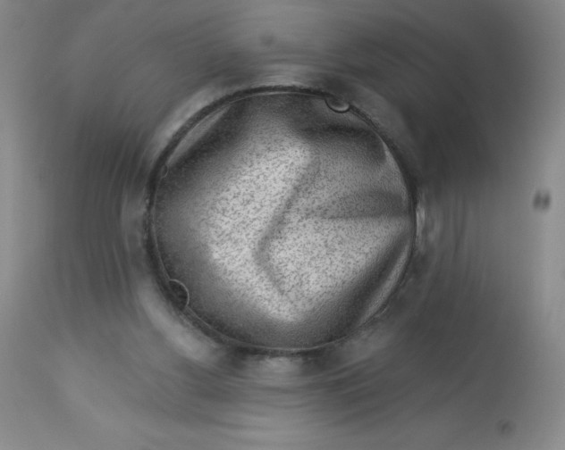 X0000113630156200910091604