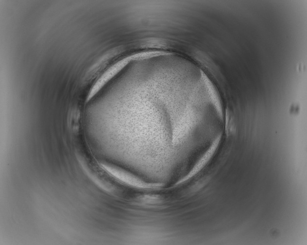 X0000113630157200910091604