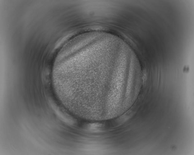 X0000113630158200910091604