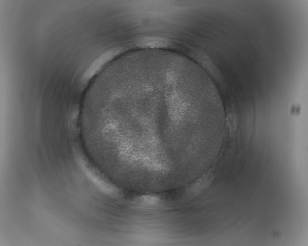 X0000113630159200910091604