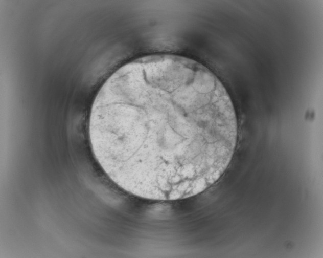 X0000113630162200910091604