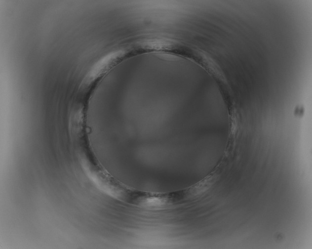 X0000113630163200910091604