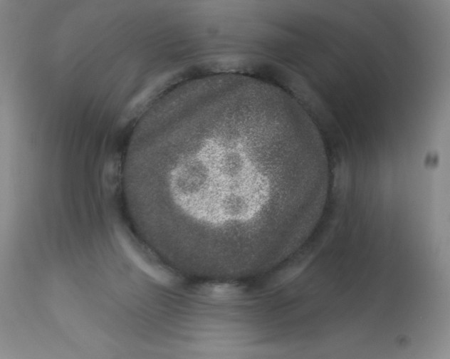 X0000113630165200910091604