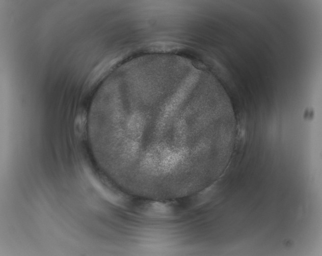 X0000113630166200910091604