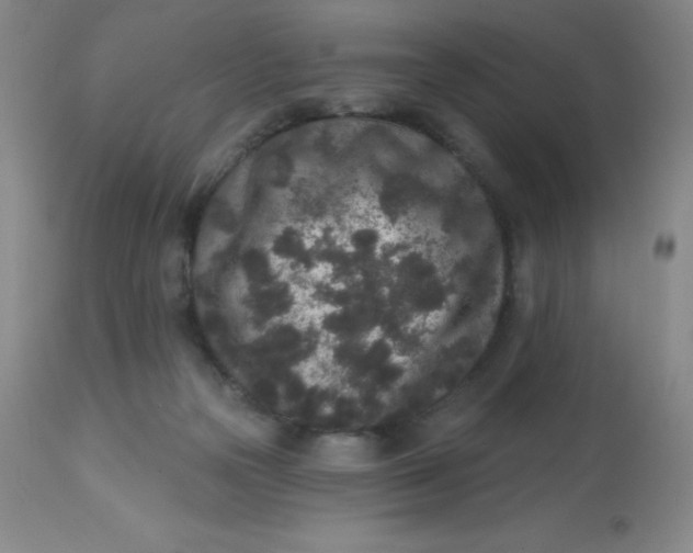 X0000113630169200910091604