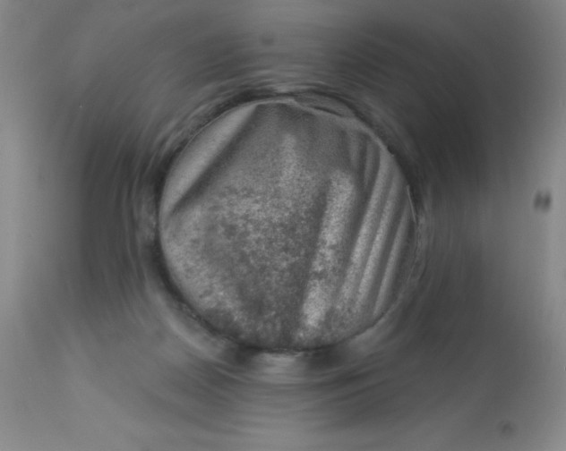 X0000113630170200910091604