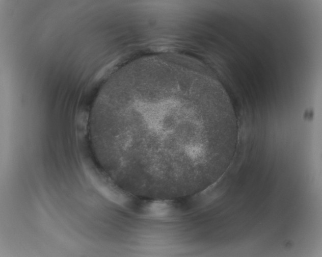 X0000113630171200910091604