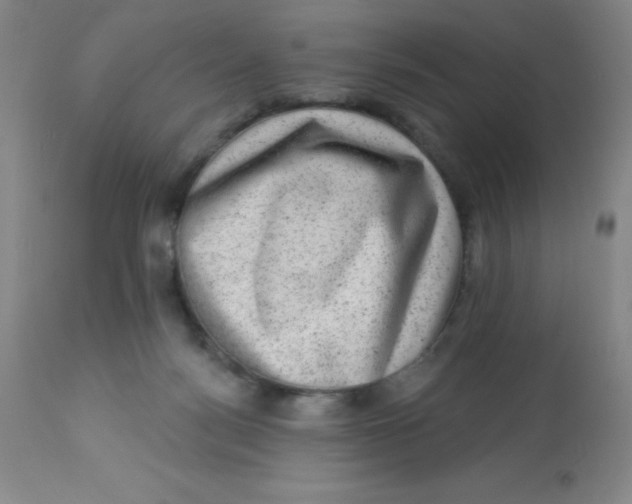 X0000113630172200910091604