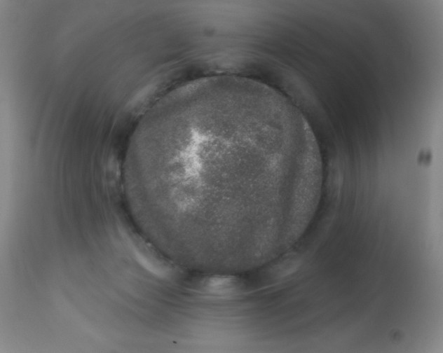 X0000113630173200910091604