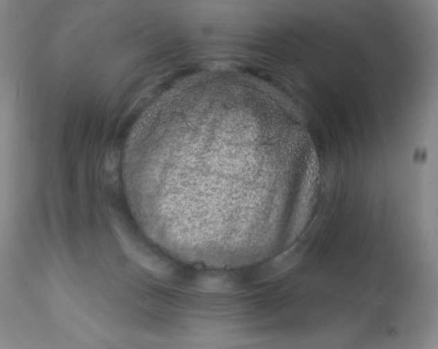 X0000113630175200910091604