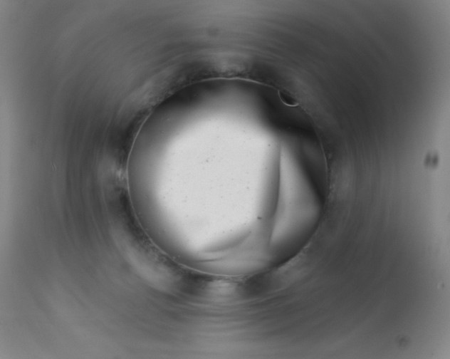 X0000113630176200910091604