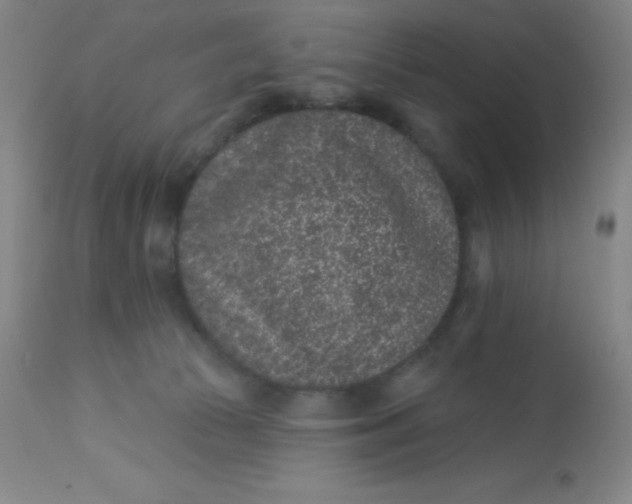 X0000113630177200910091604