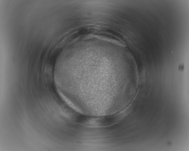 X0000113630178200910091604