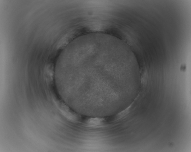 X0000113630179200910091604