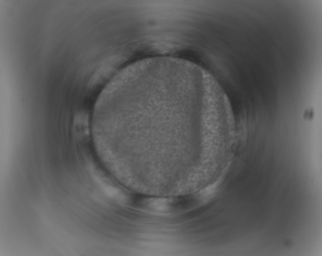 X0000113630182200910091604