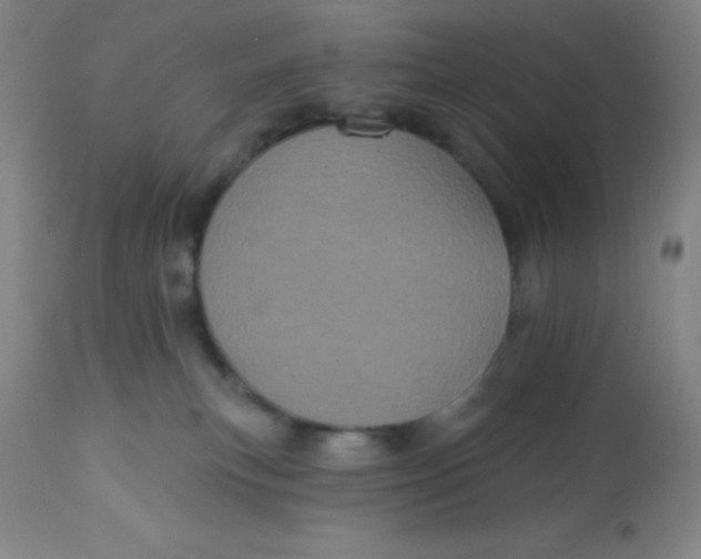 X0000113630183200910091604